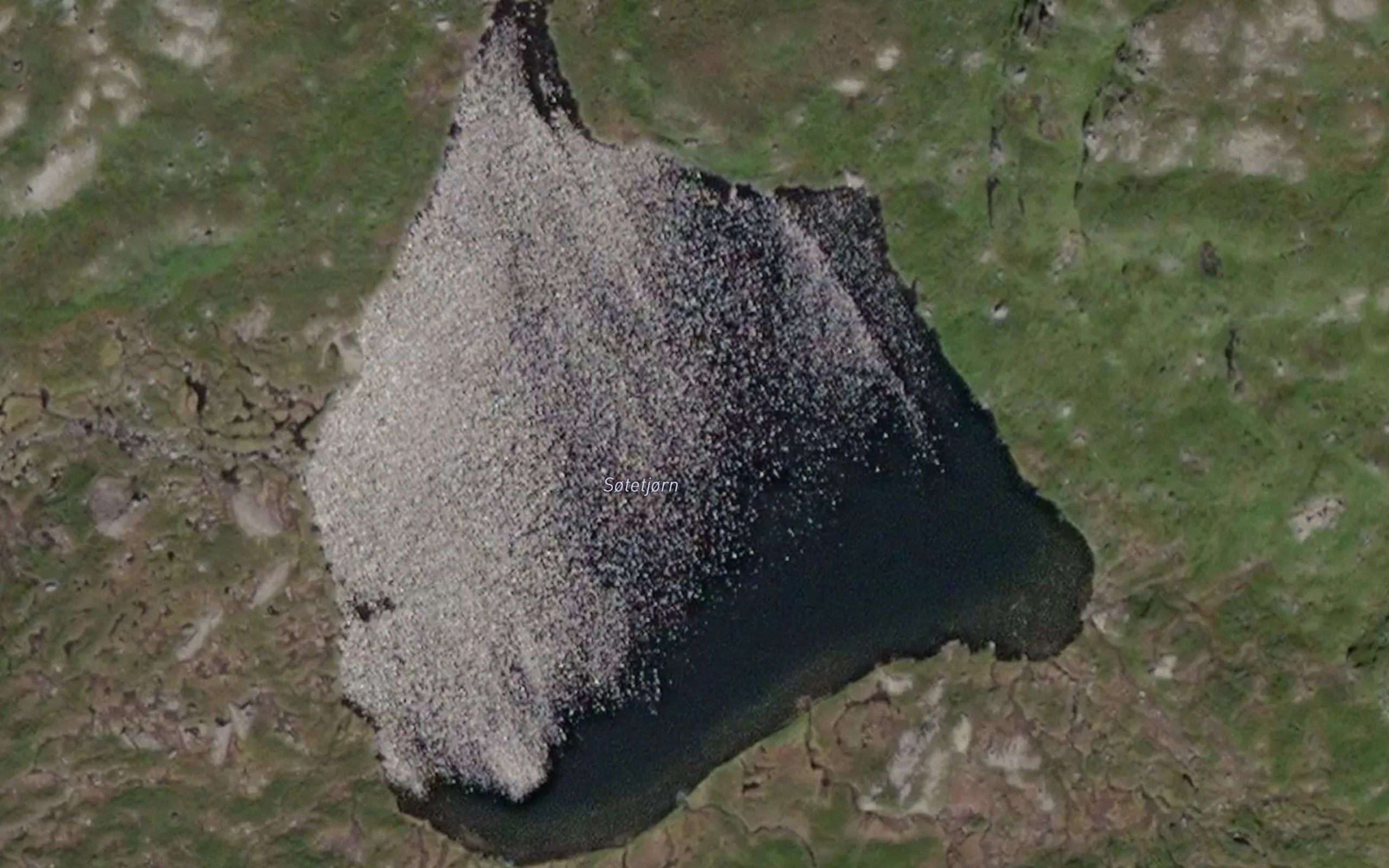 Sotetjorn