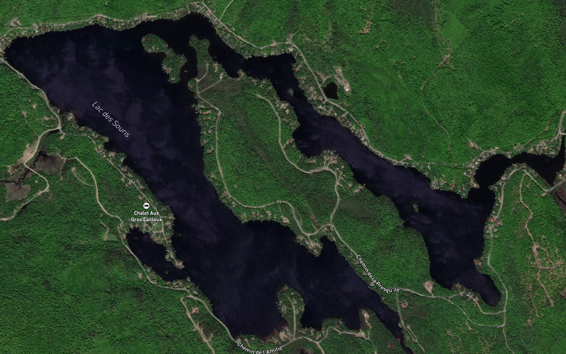 Satellite map of the Lac des Souris