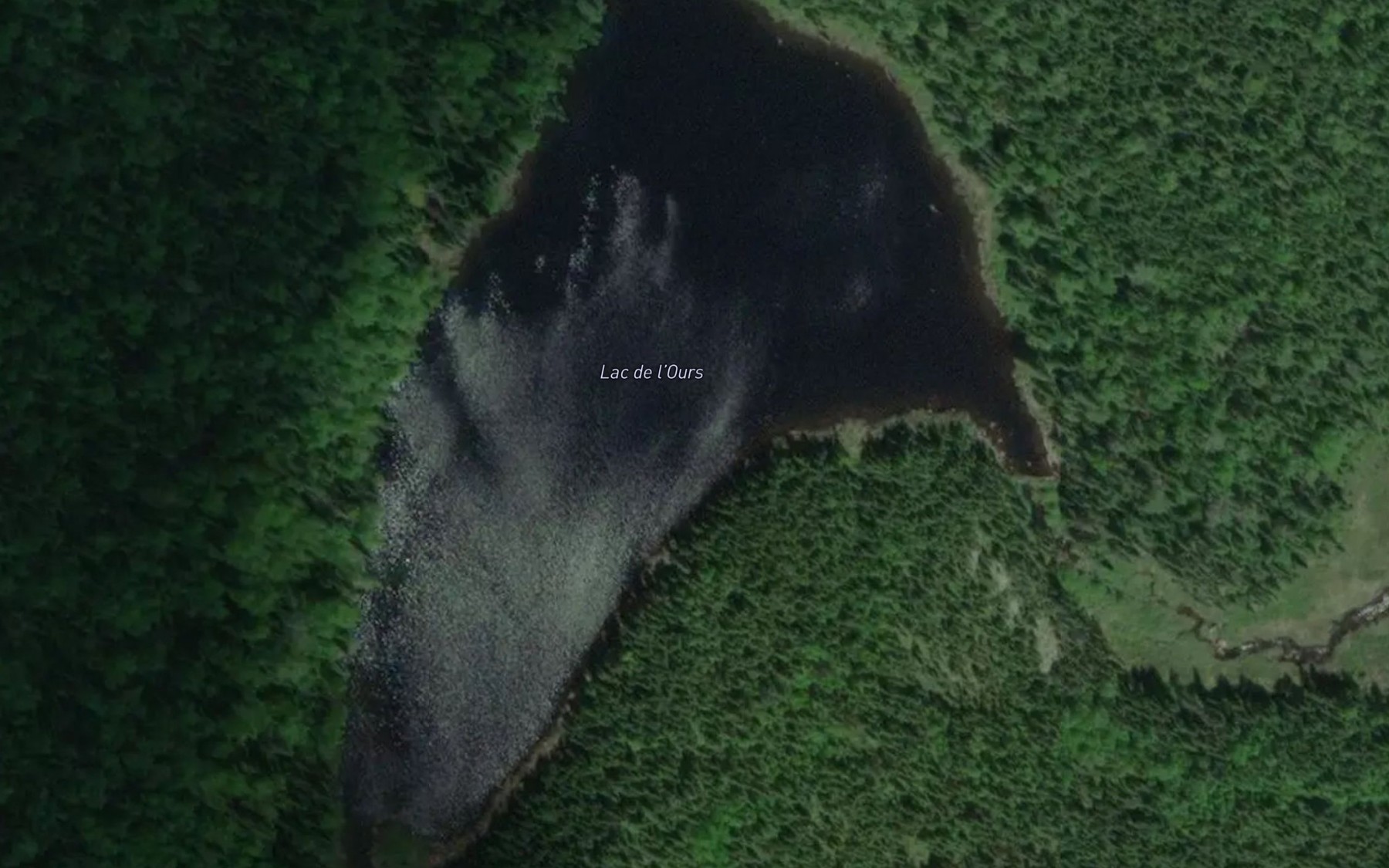 Satellite map of the Lac de l'Ours