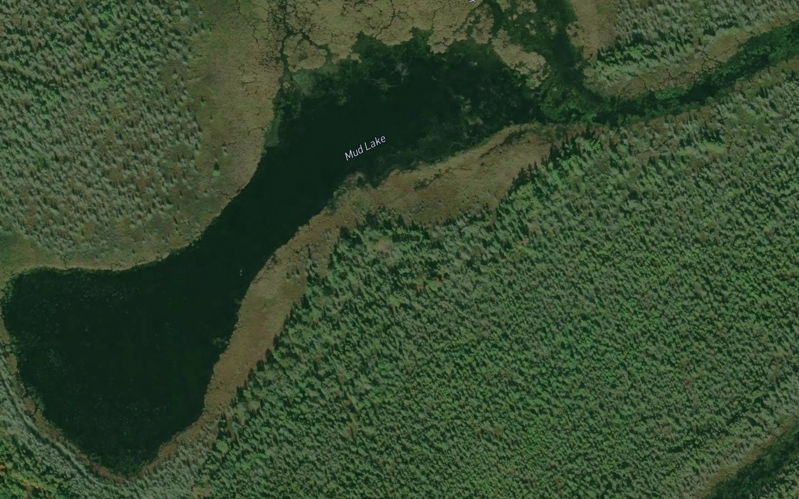 Mud Lake