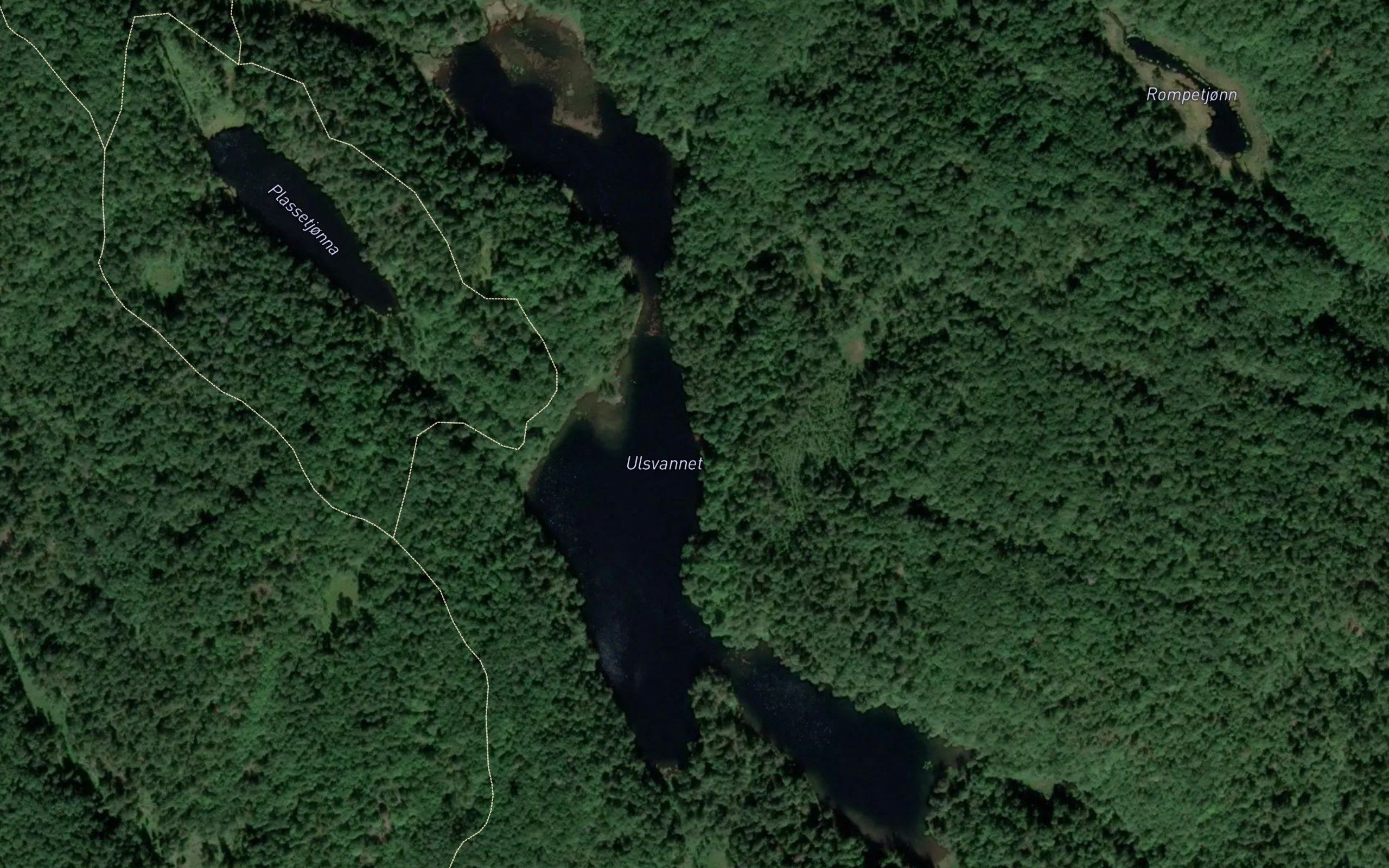 Ulsvann