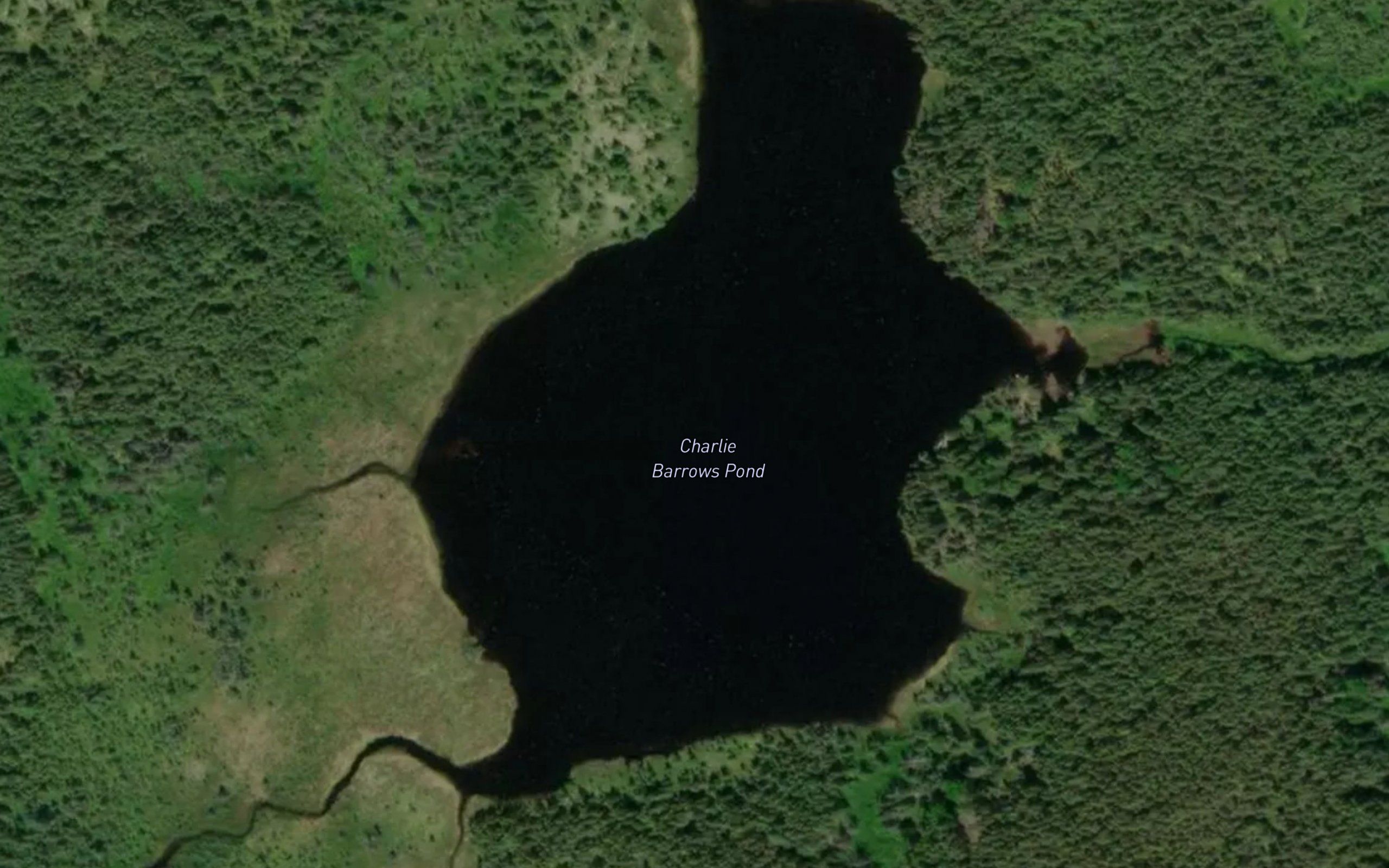Charlie Barrows Pond
