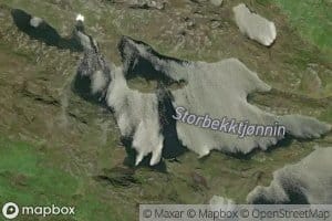 Storbekktjorna