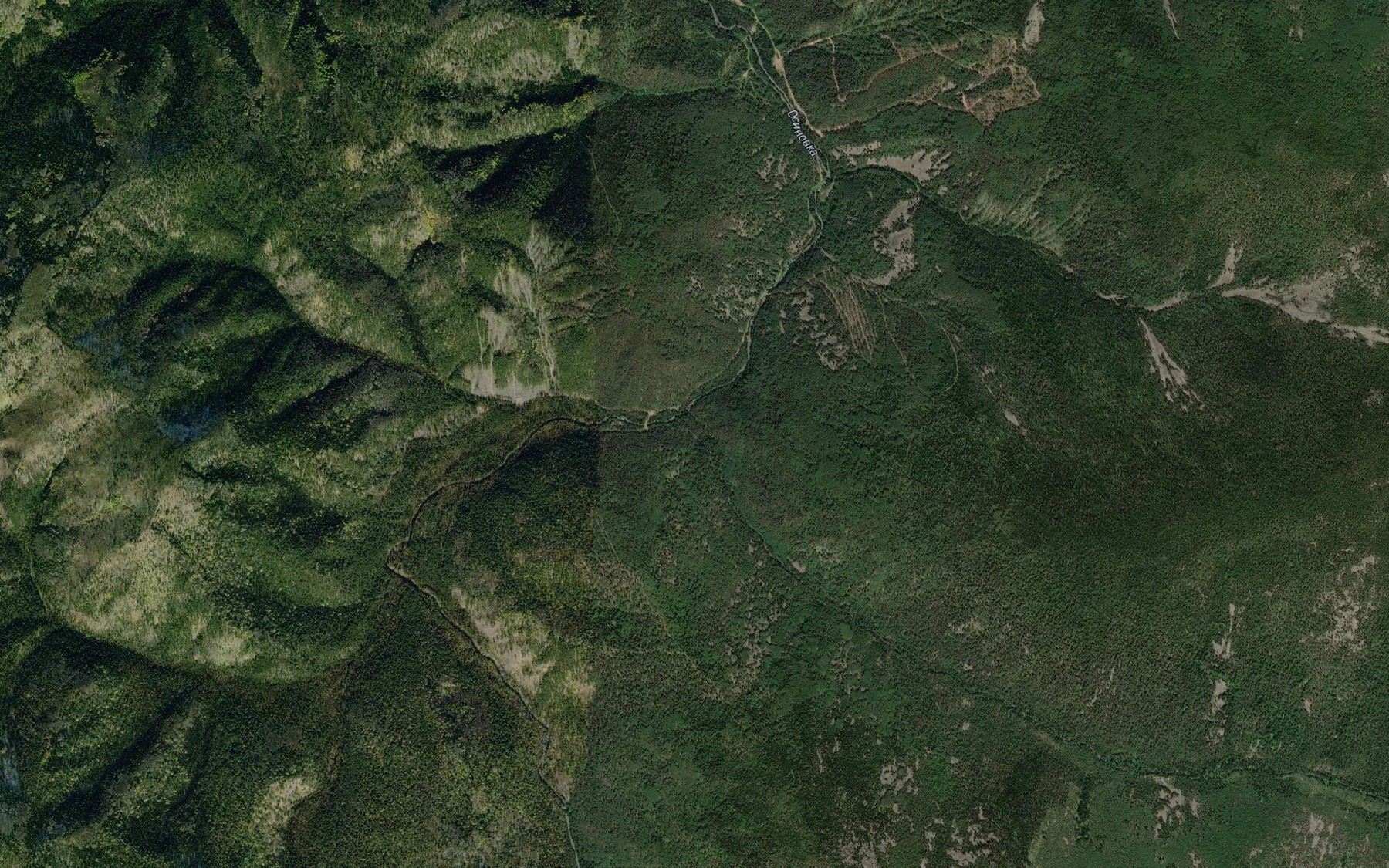 Satellite map of the Pravaya Osinovka