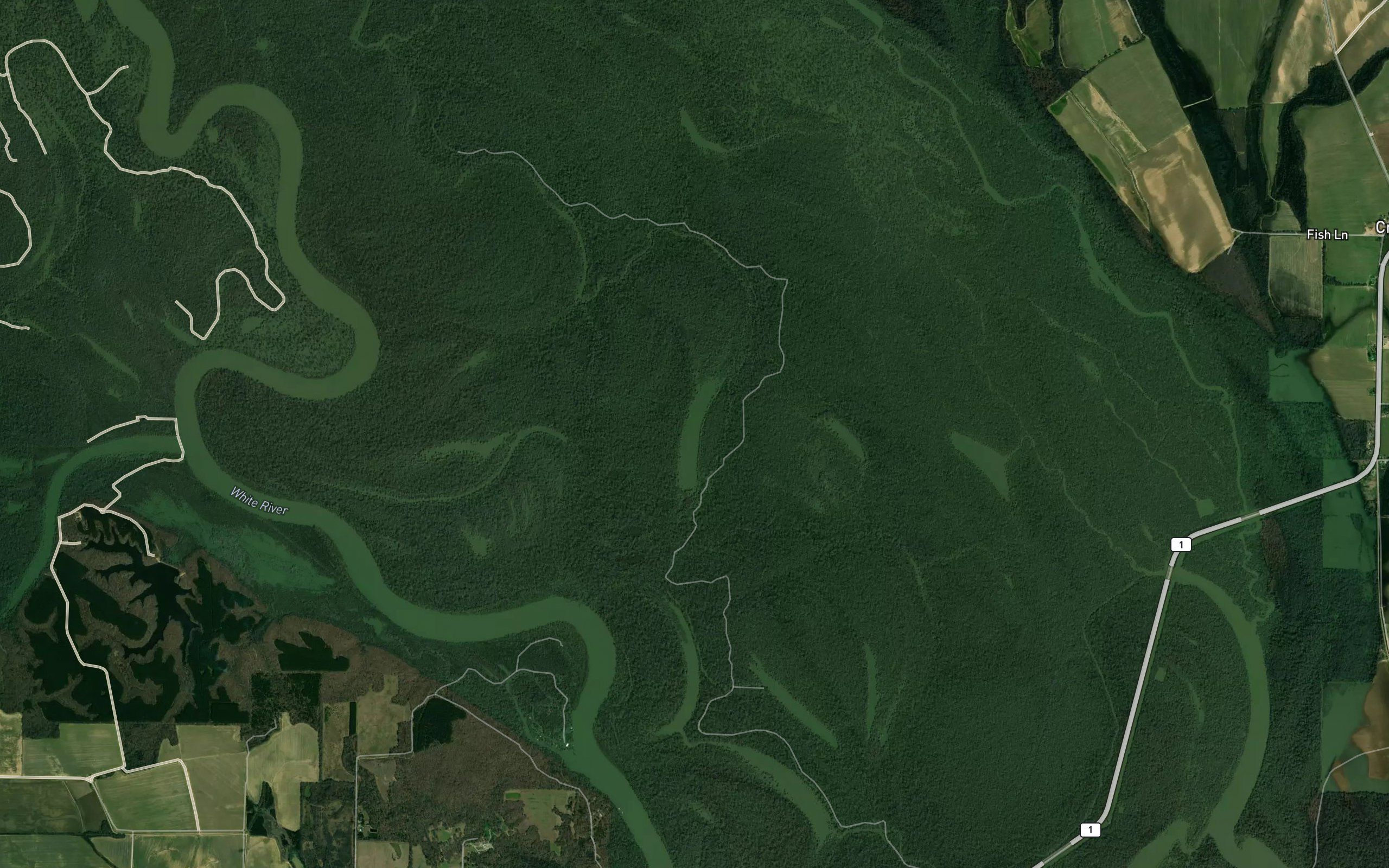 Upper Swan Lake