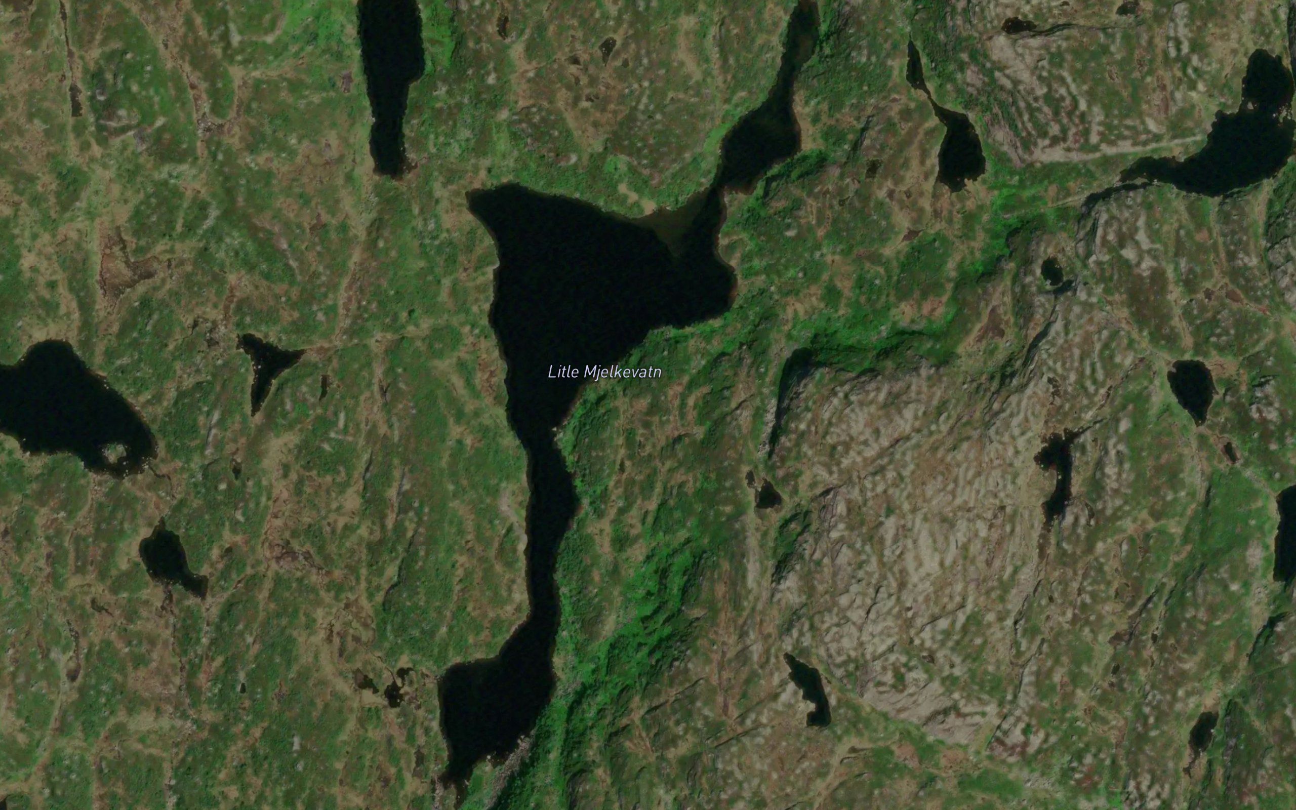 Mjelkevatn,litla