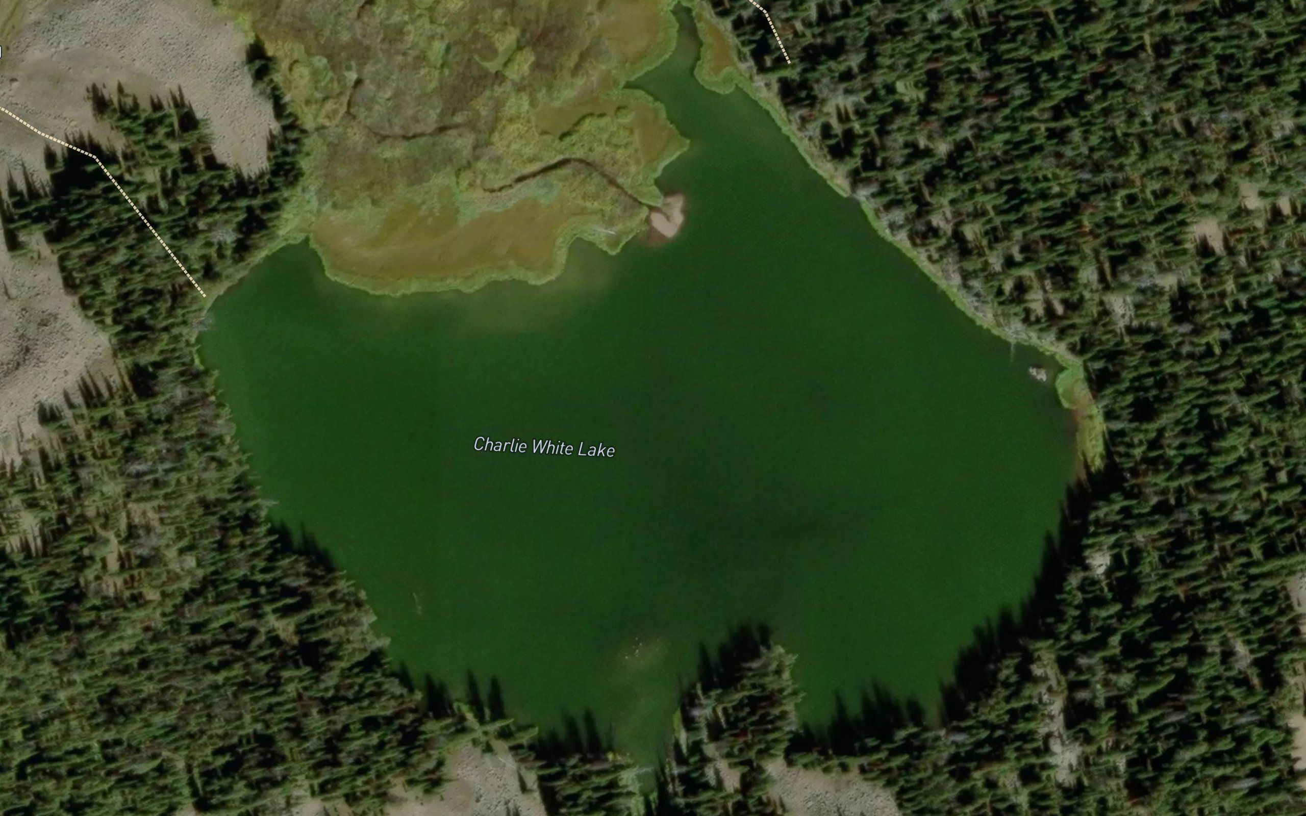 Charlie White Lake