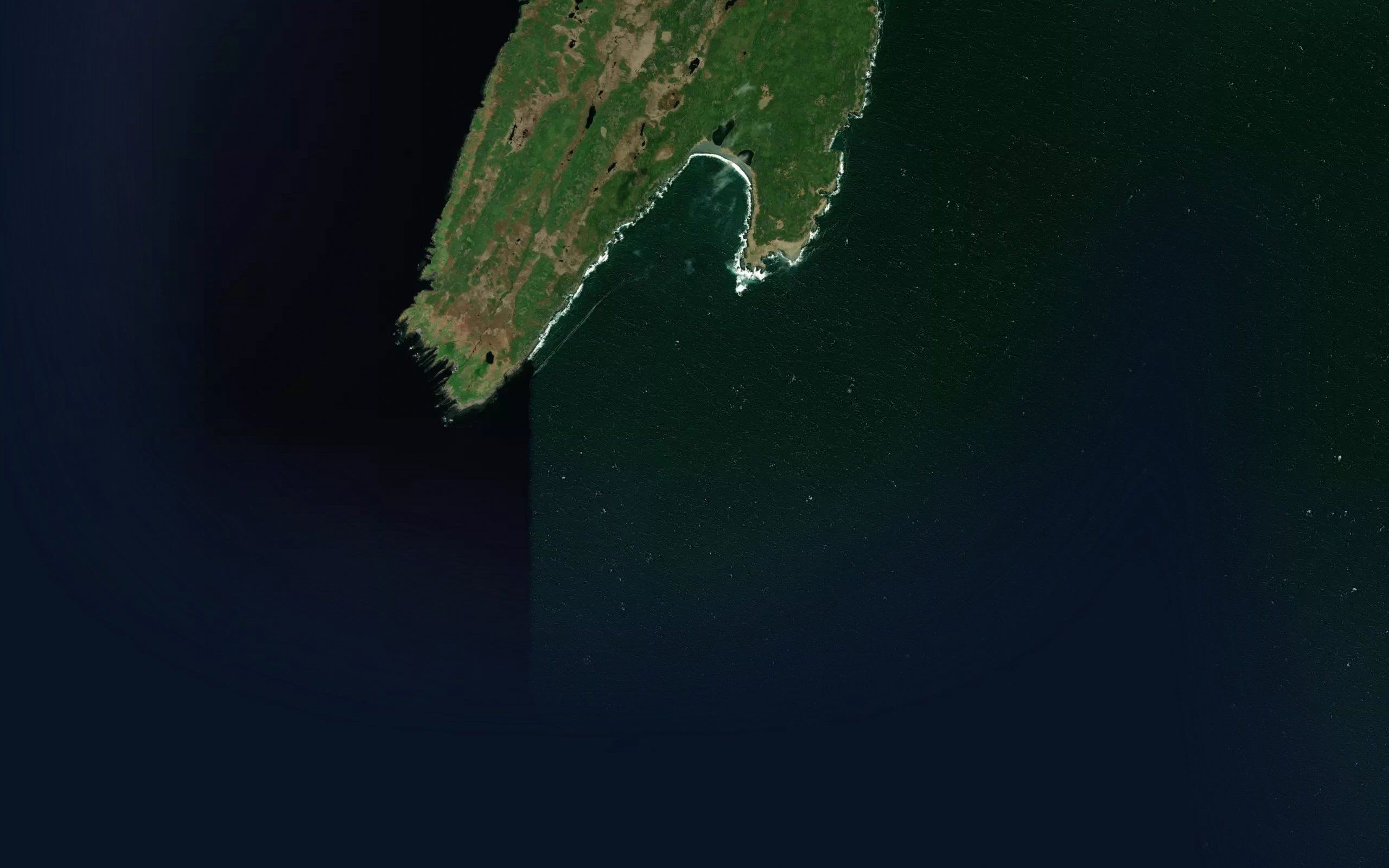 Wild Cove