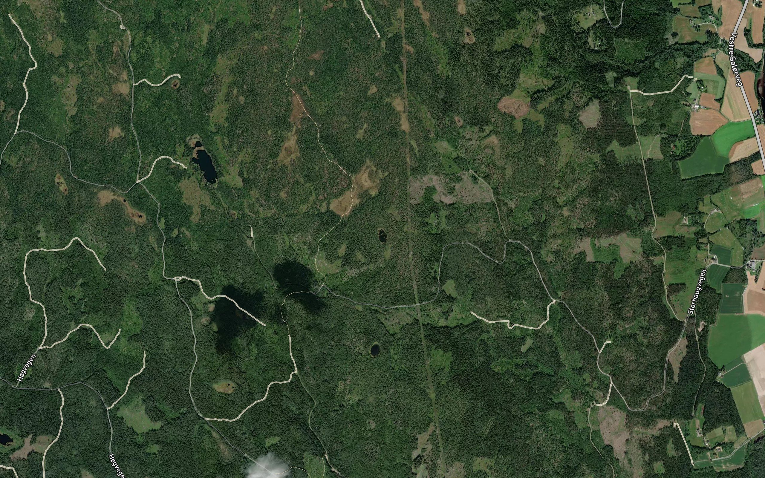 Grasbergtjennet