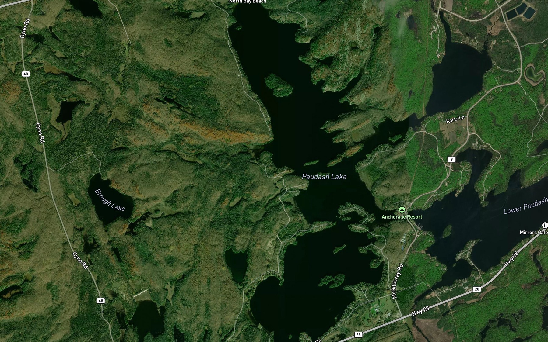 Satellite map of the Colbourne Creek