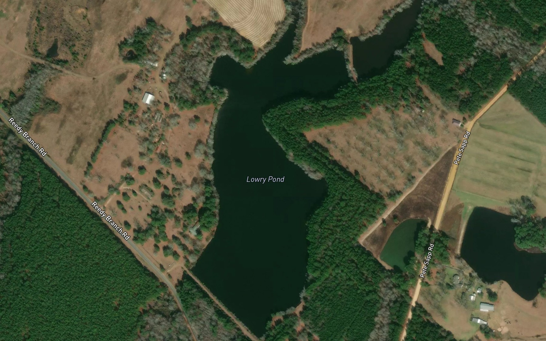 Satellite map of the Lowry Pond