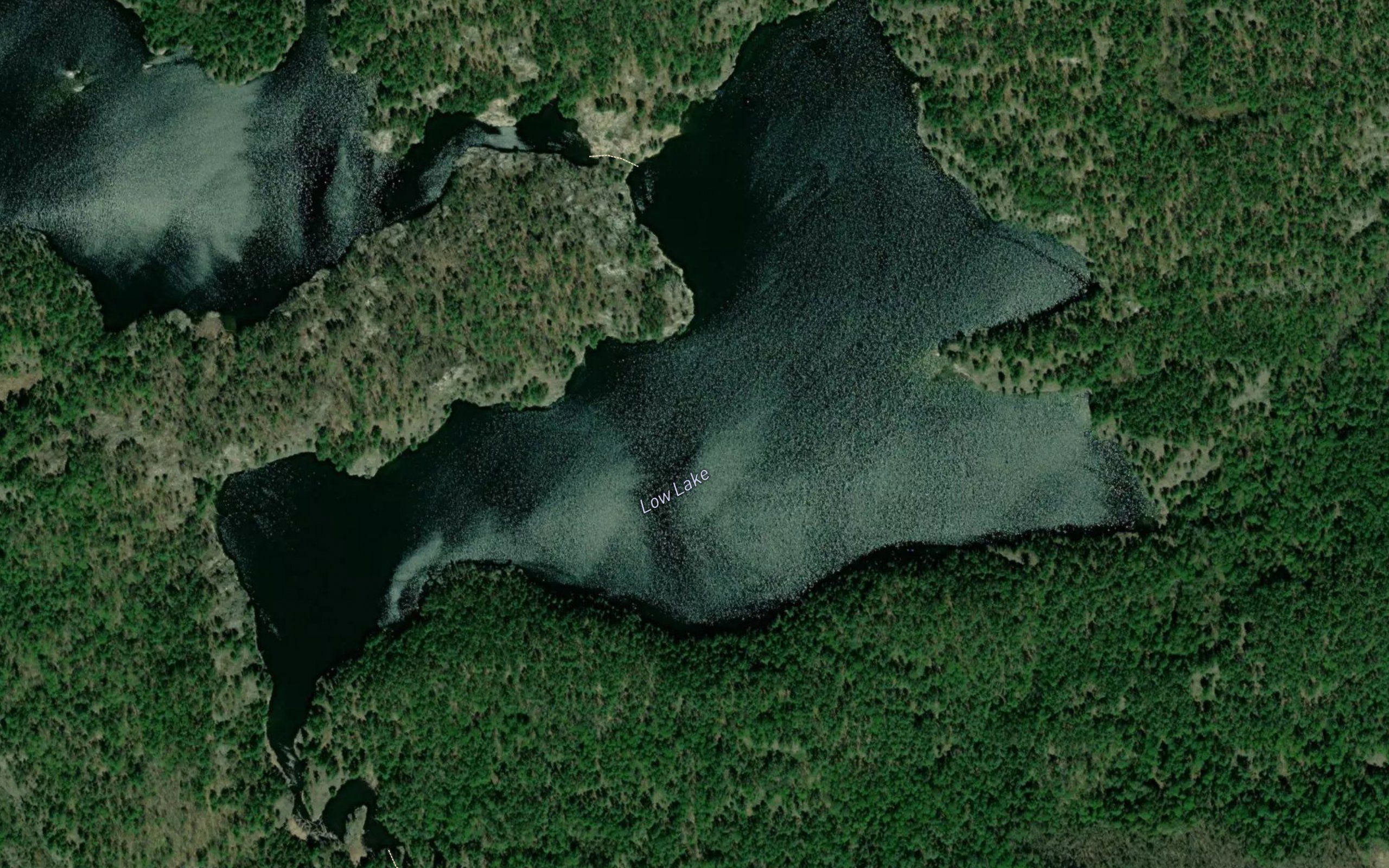 Low Lake