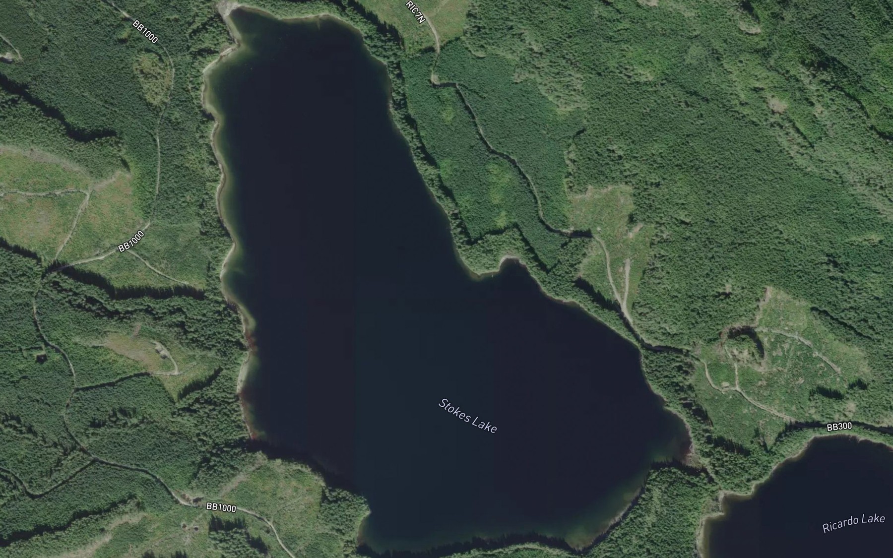 Satellite map of the Stokes Lake