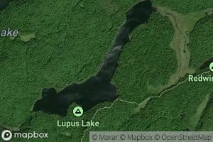 Lupus Lake
