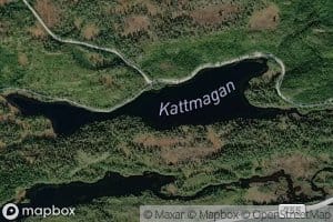 Kattmagen