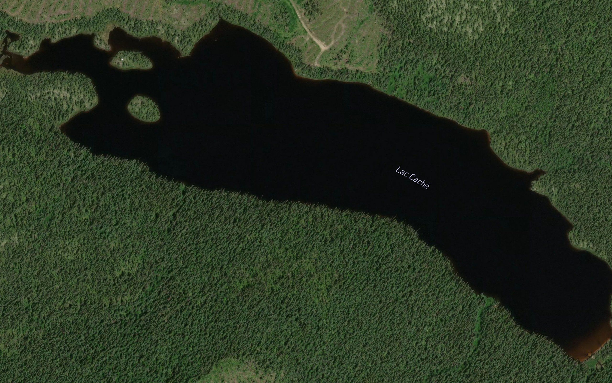 Lac Cache