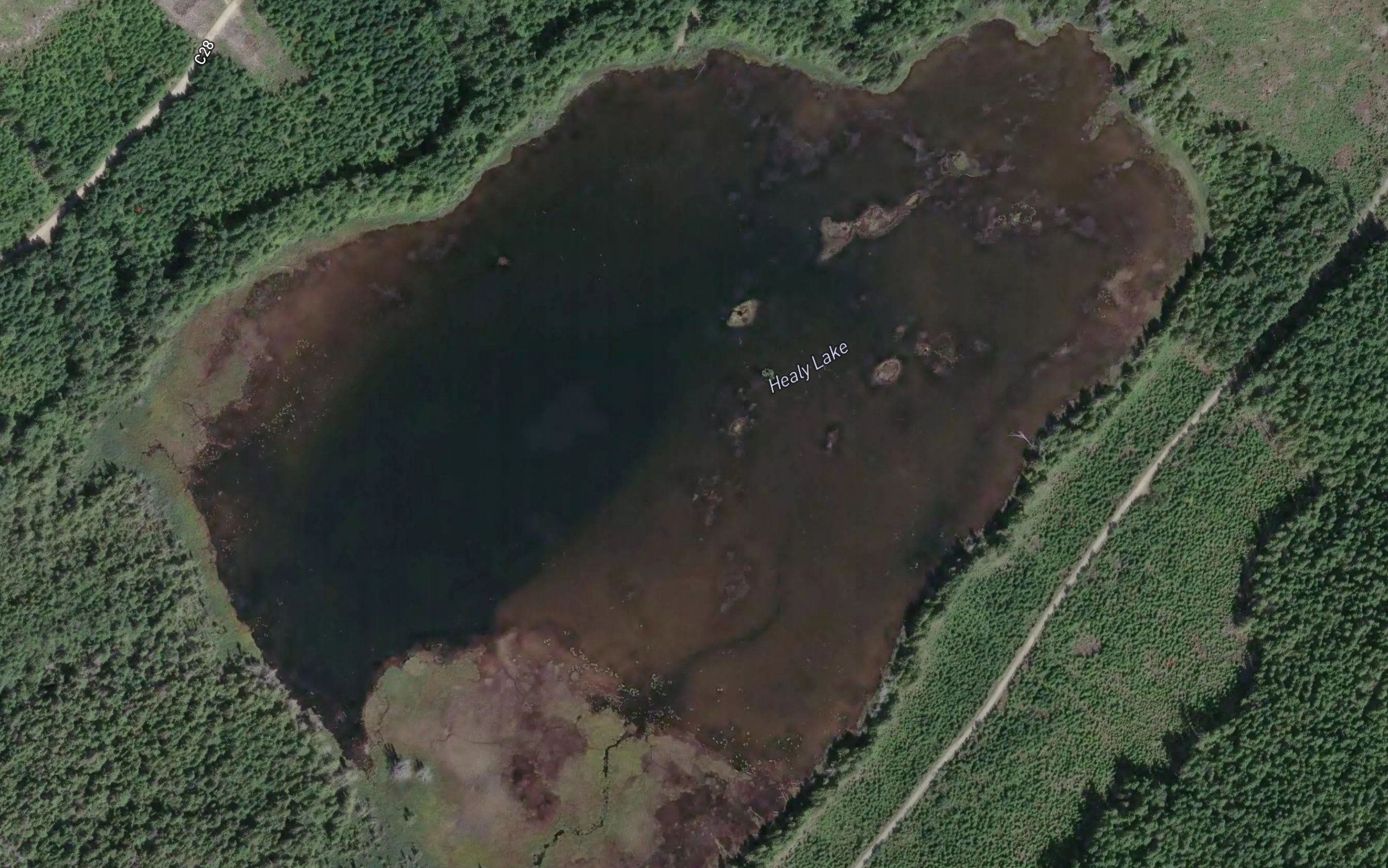 Healy Lake