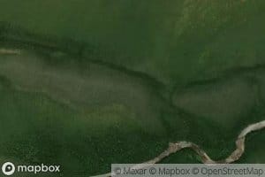 Harvey Creek