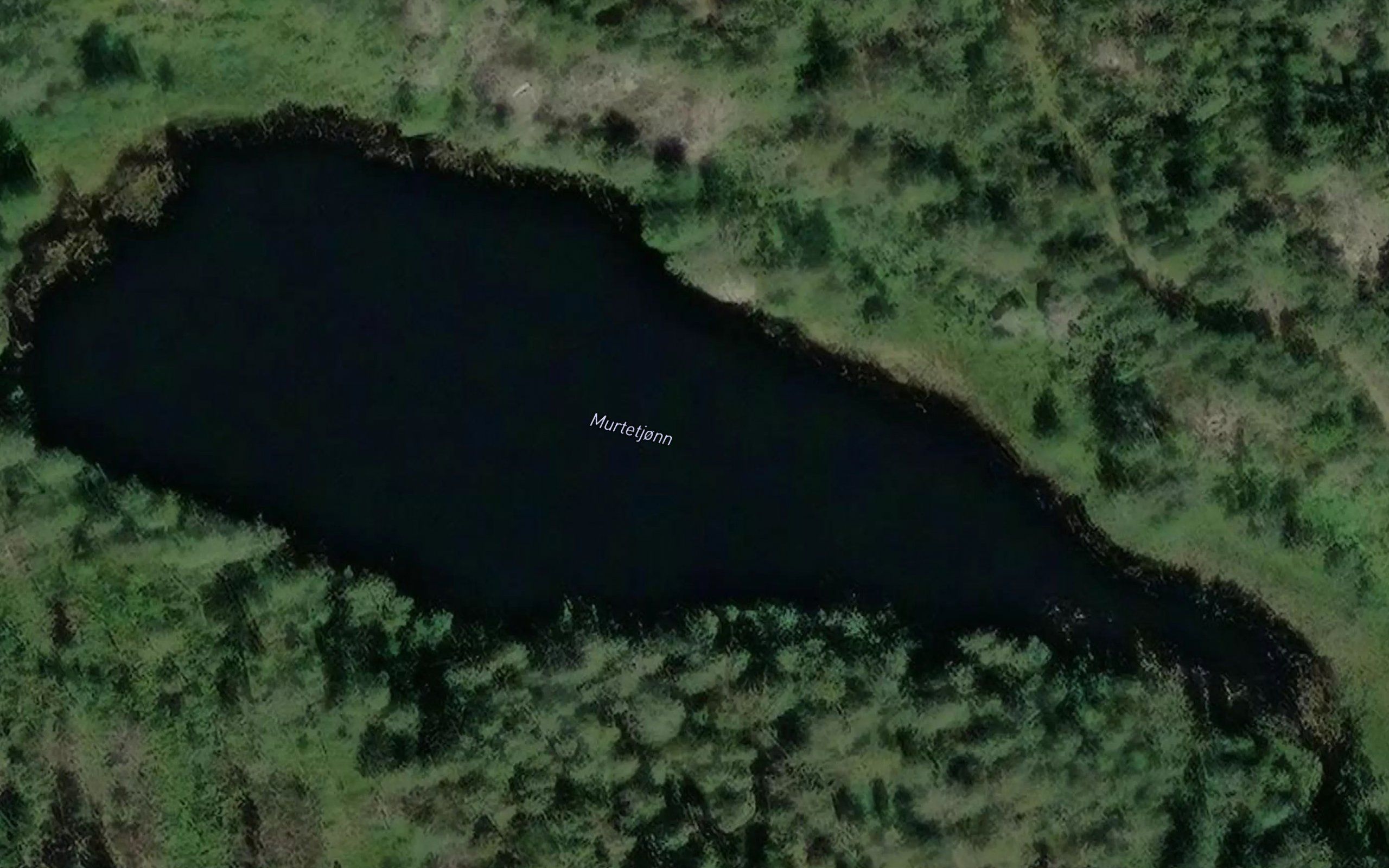 Murtetjonn