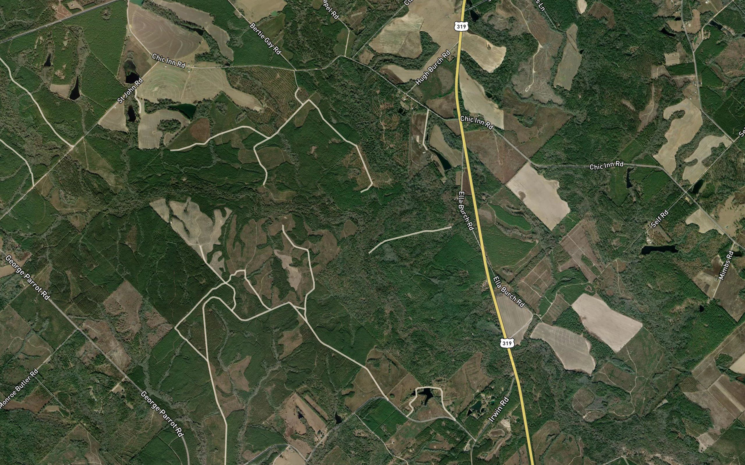 Lime Sink Creek