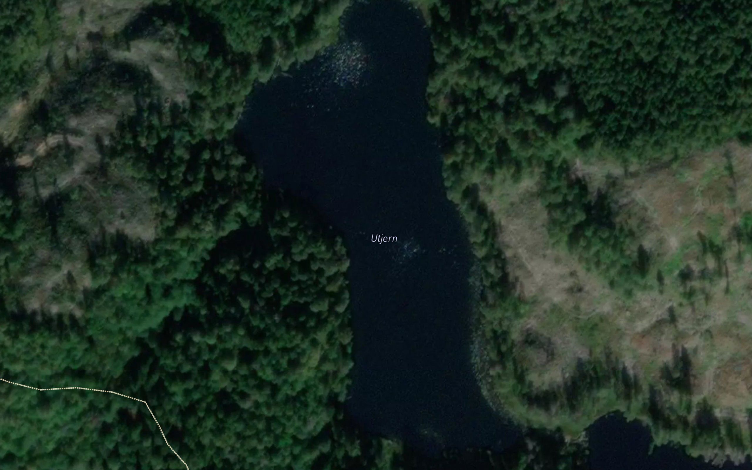 Utjern