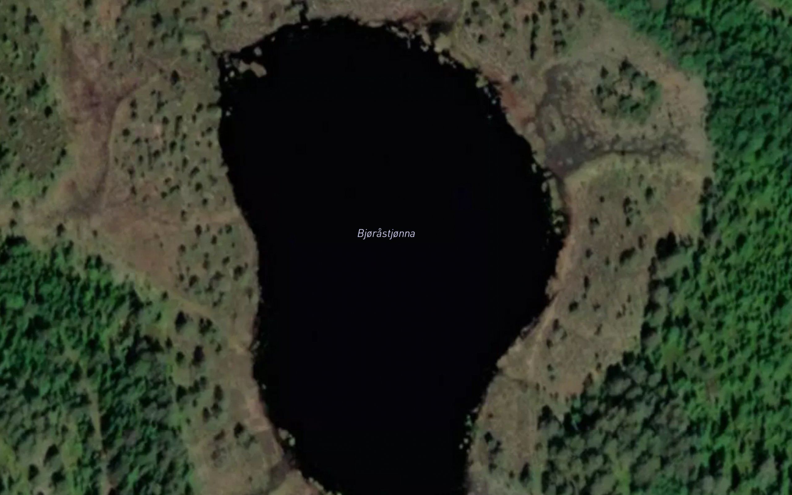 Koltjorna