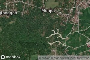 Ci Buruy