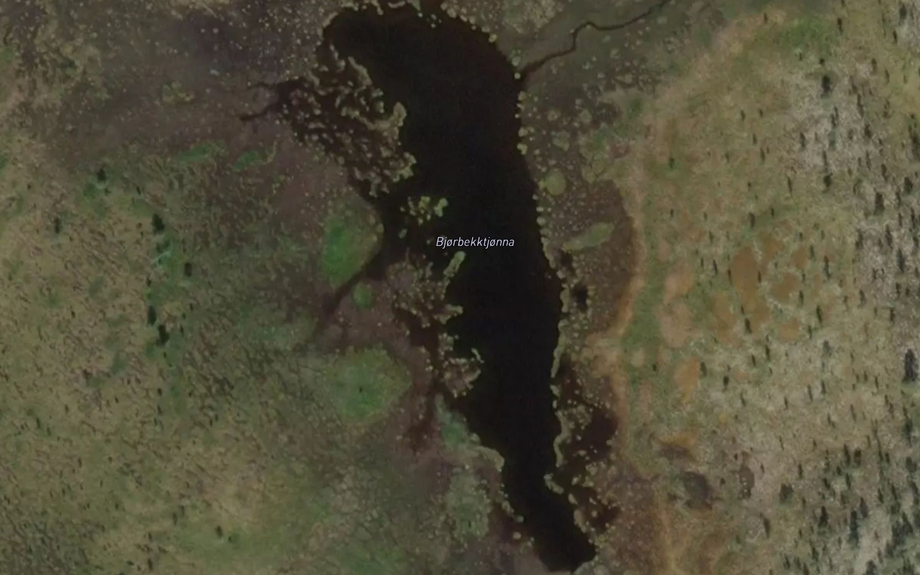 Satellite map of the Bjorbekktjonna