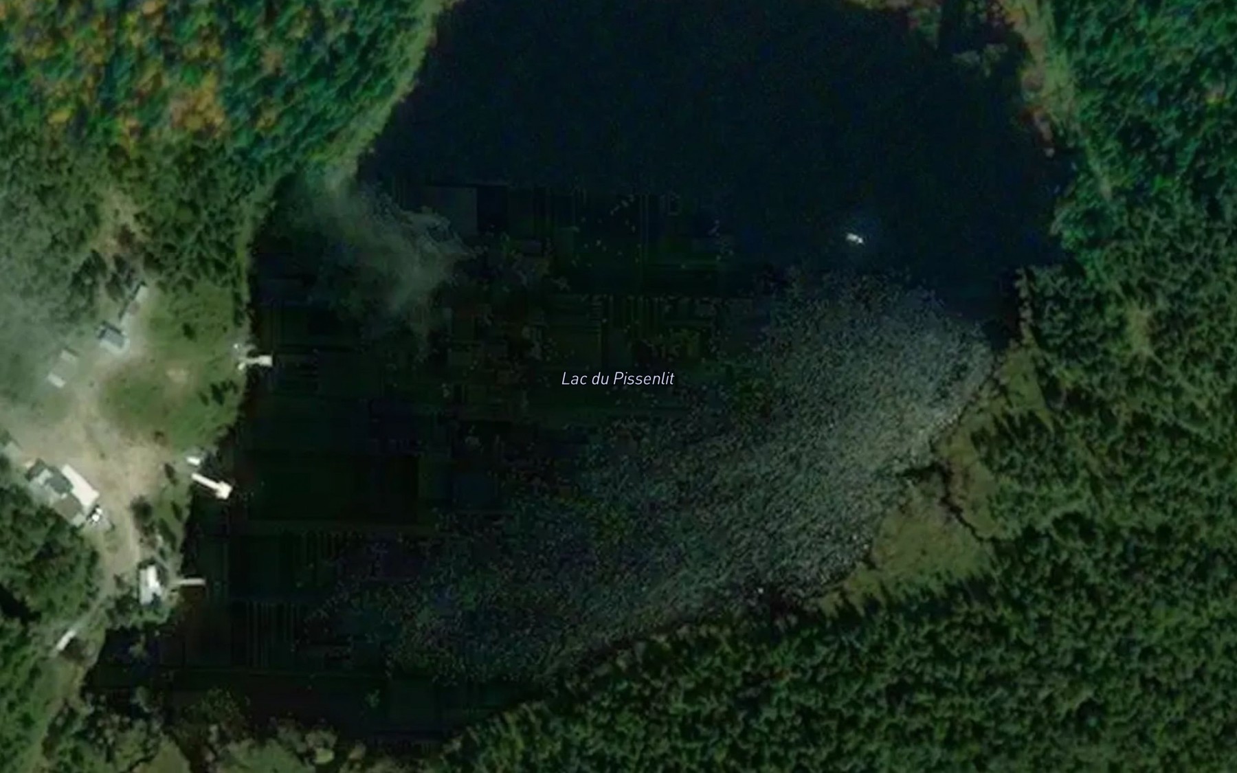 Satellite map of the Lac du Pissenlit