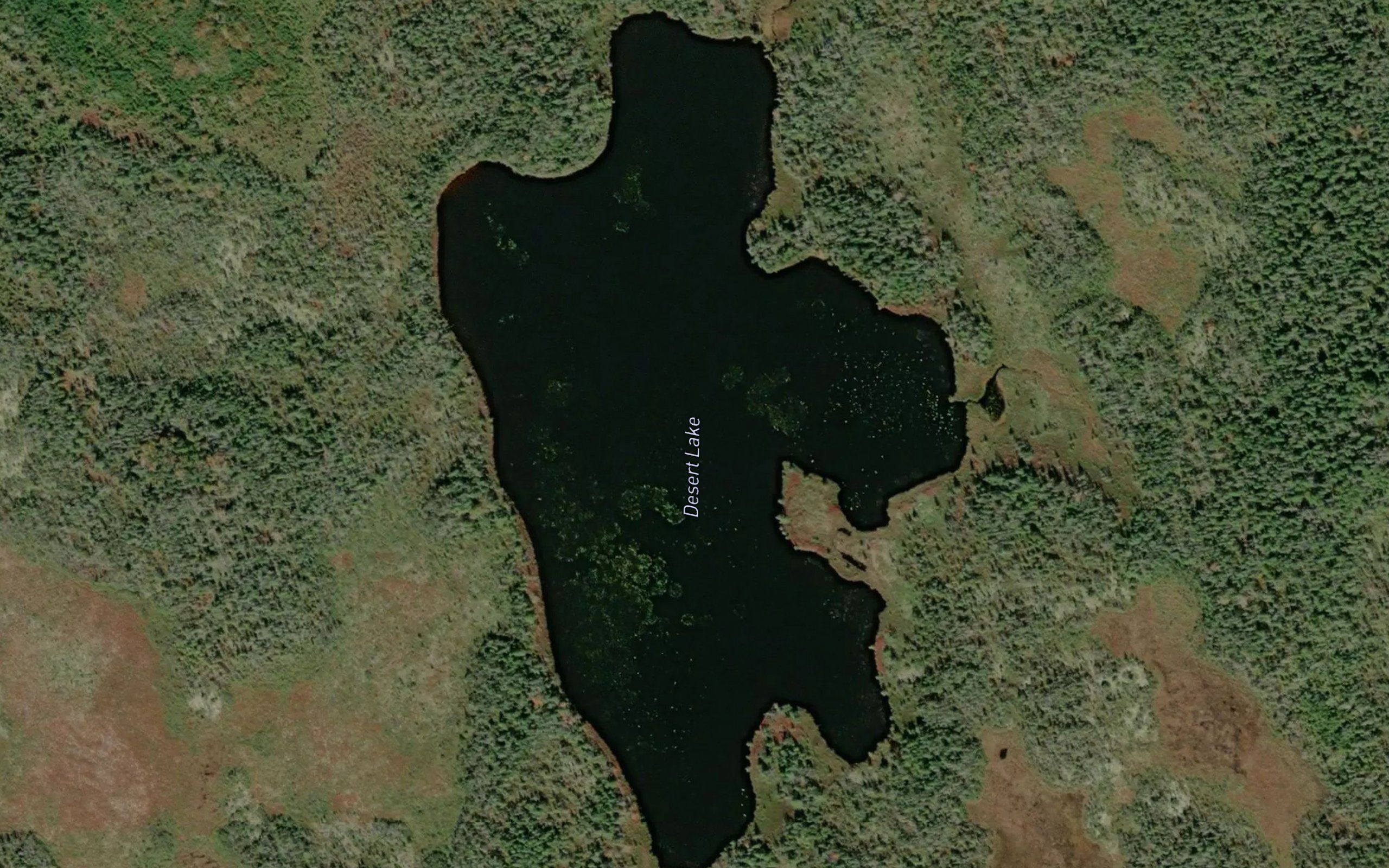 Desert Lake