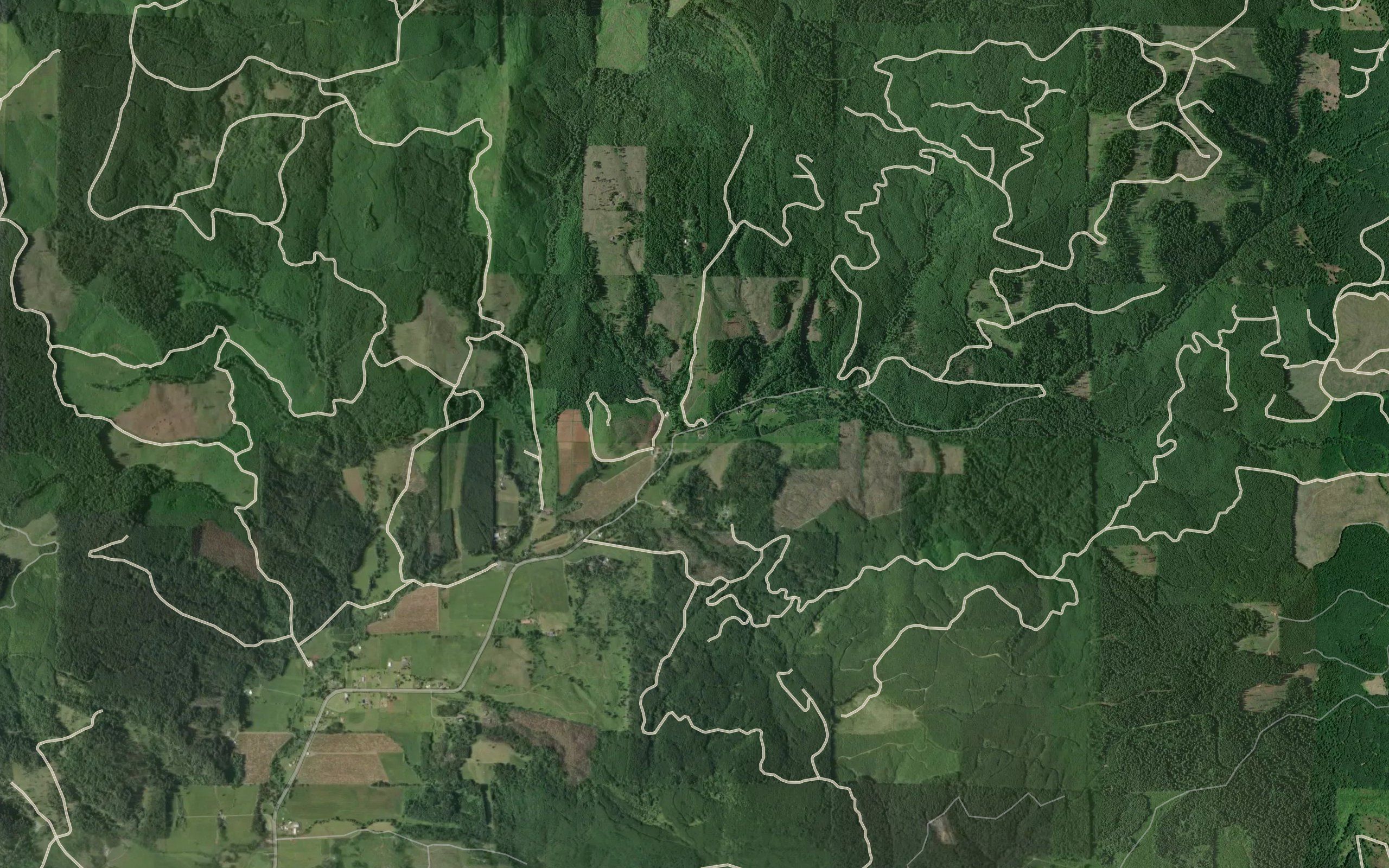 Wegner Creek