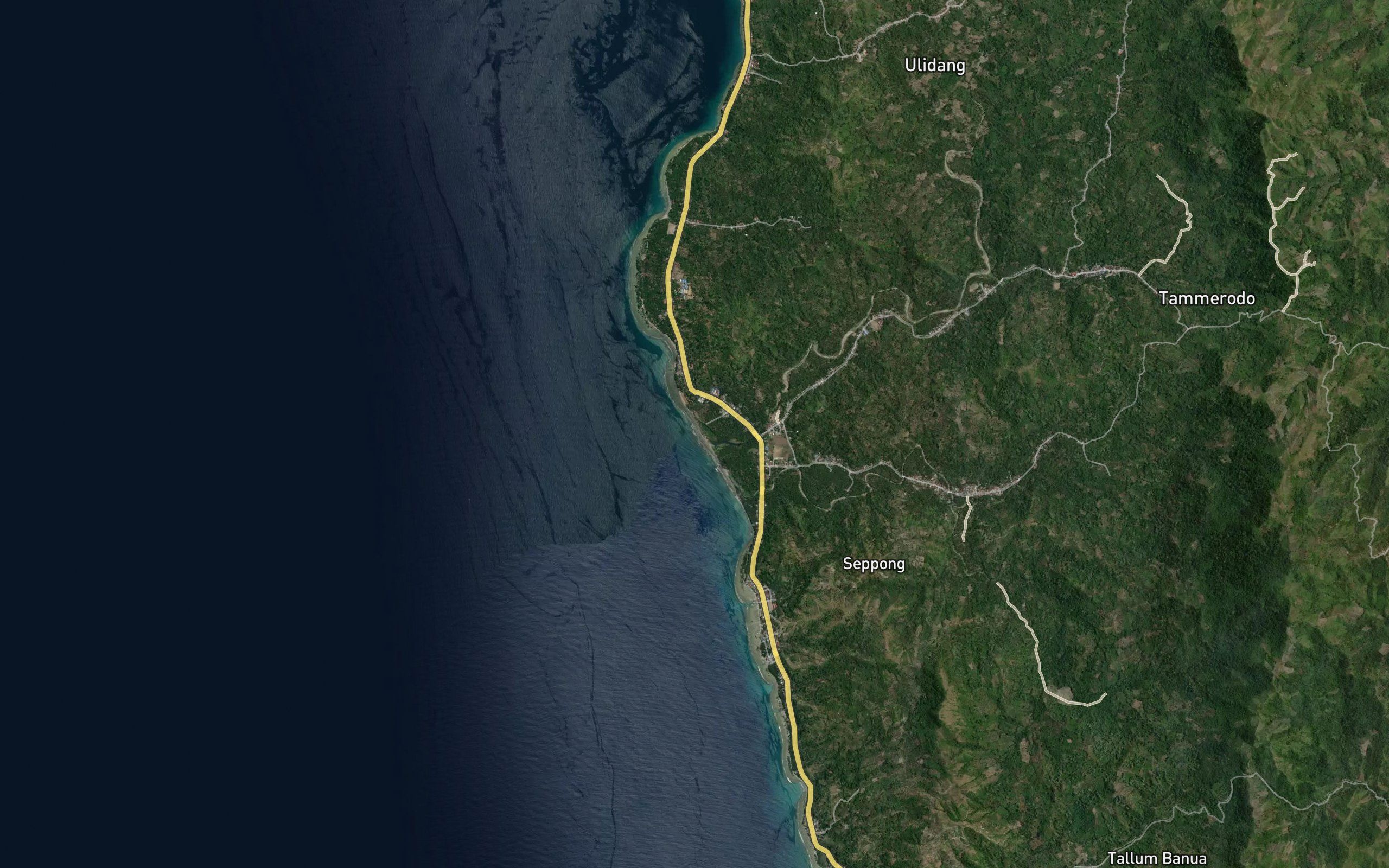Salu Tammerodo