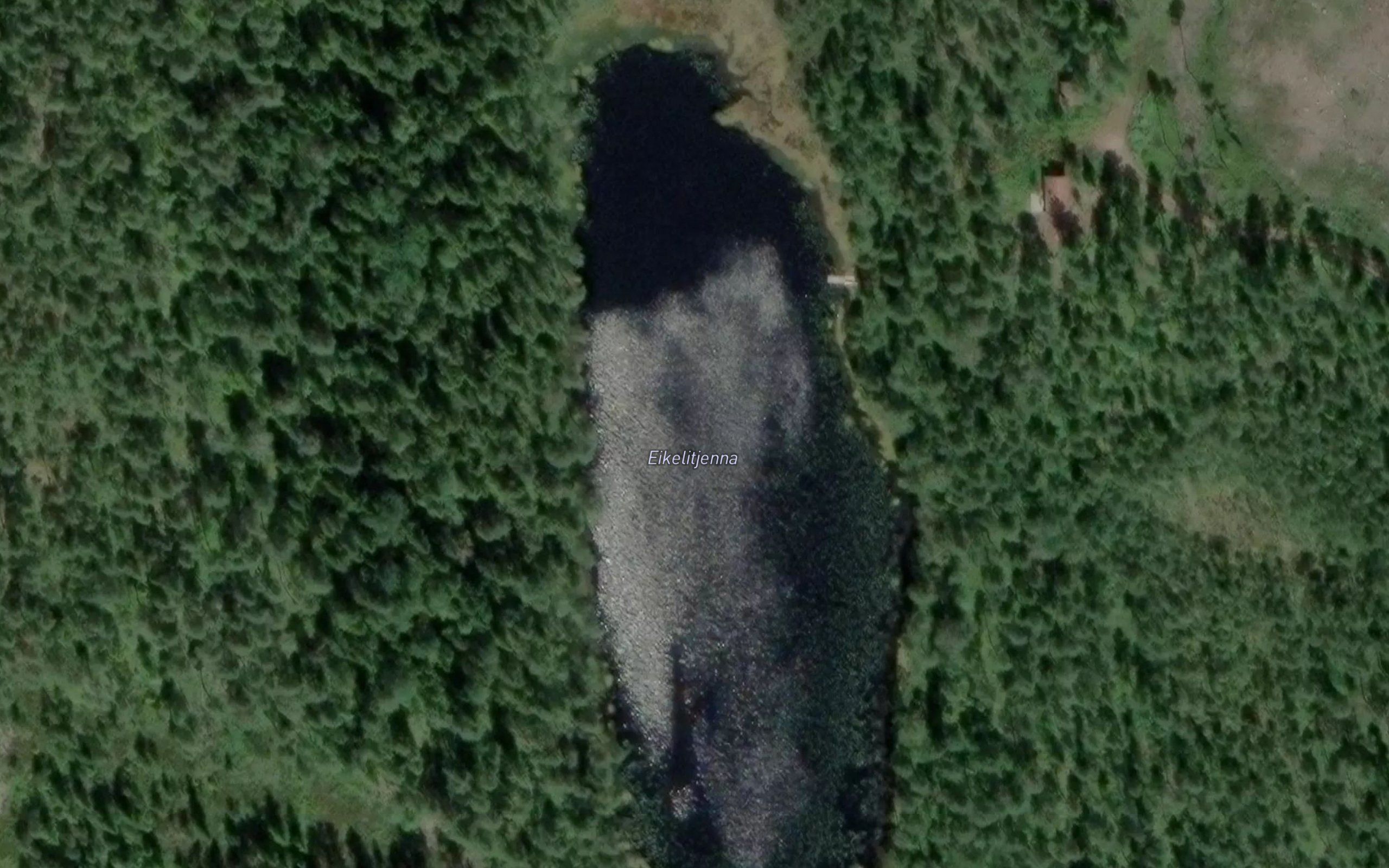 Eikelitjerna
