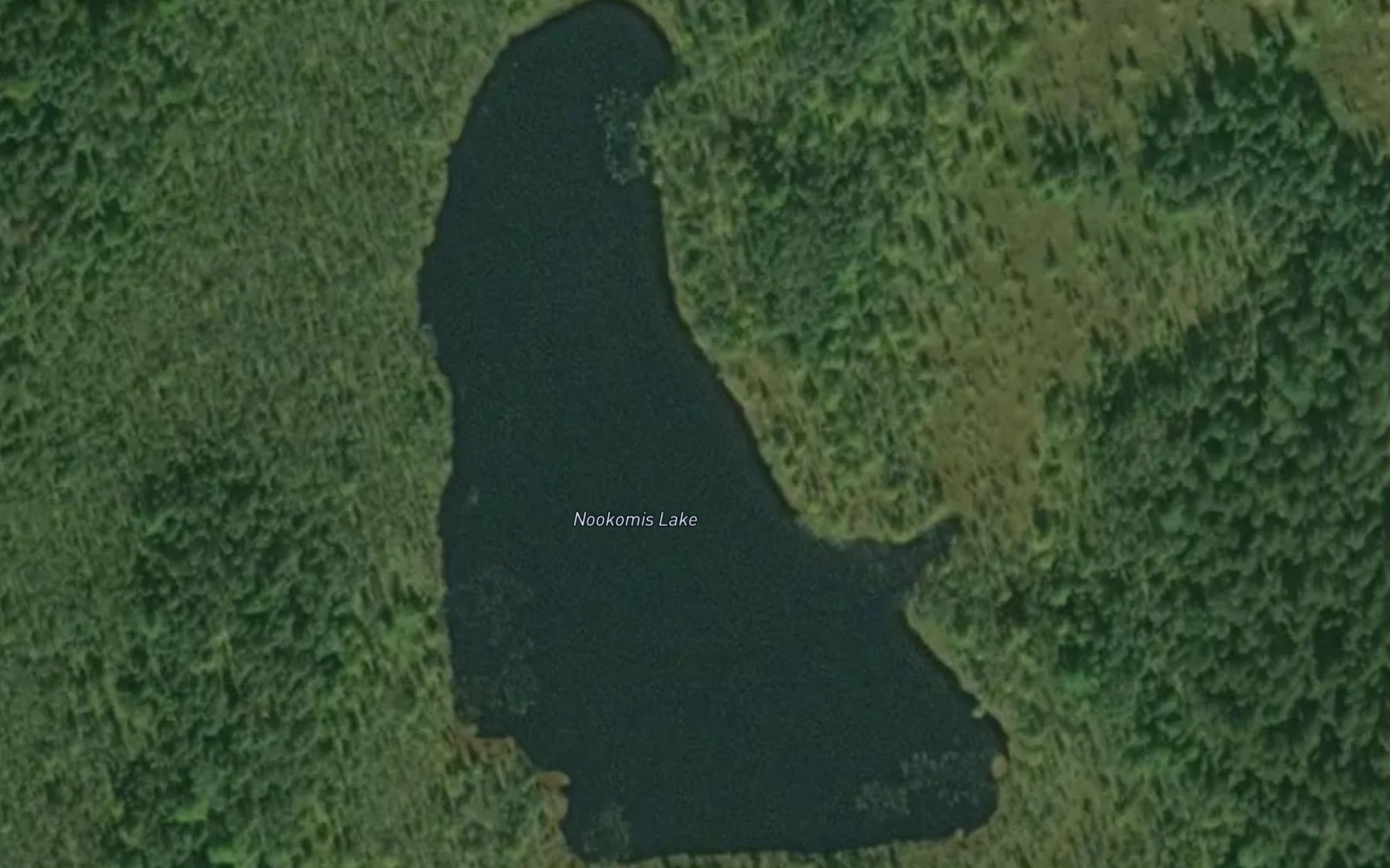 Satellite map of the Squaw Lake