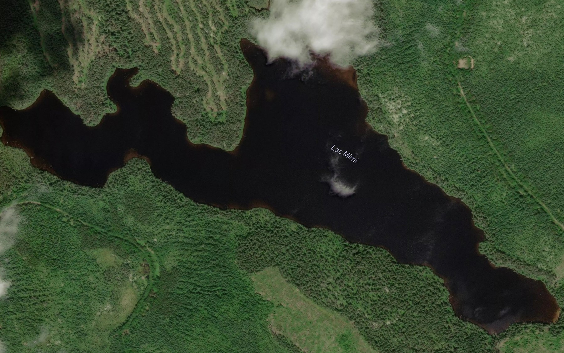 Satellite map of the Lac Mimi