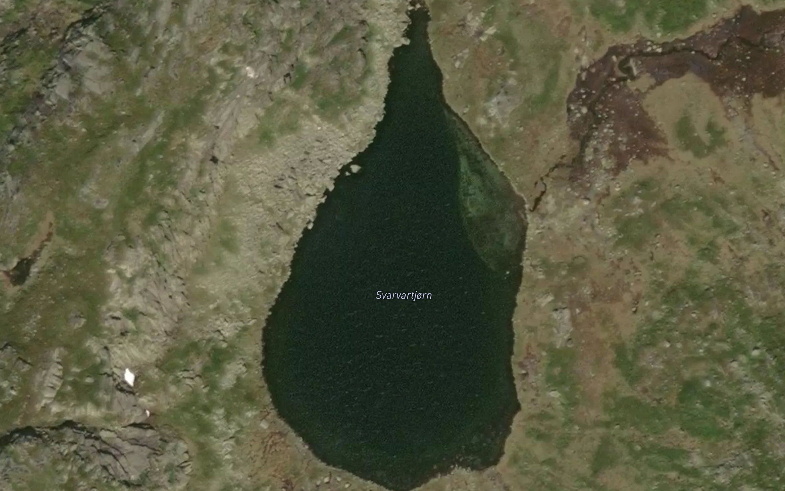 Den vene tjonni