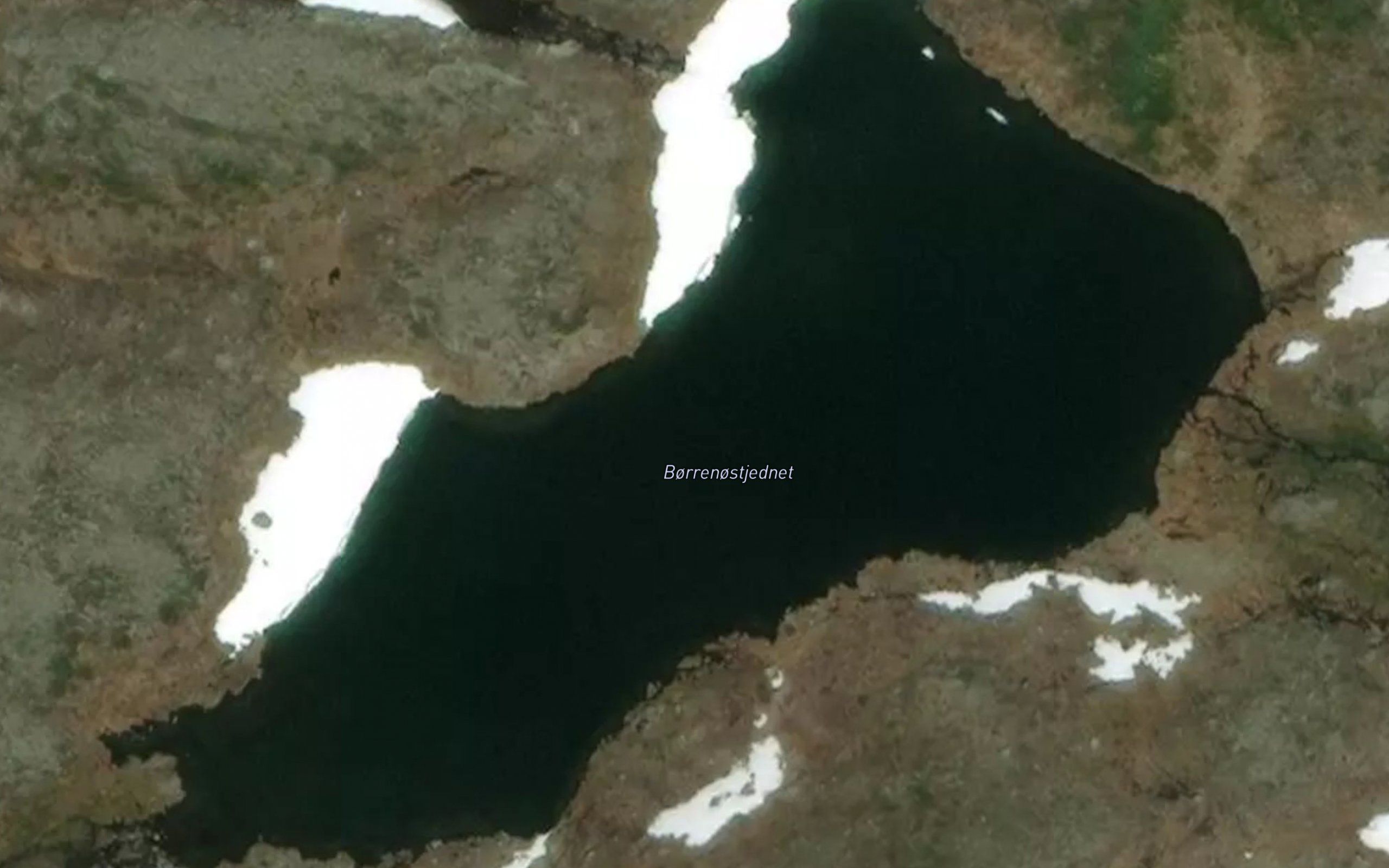 Borrenostjernet