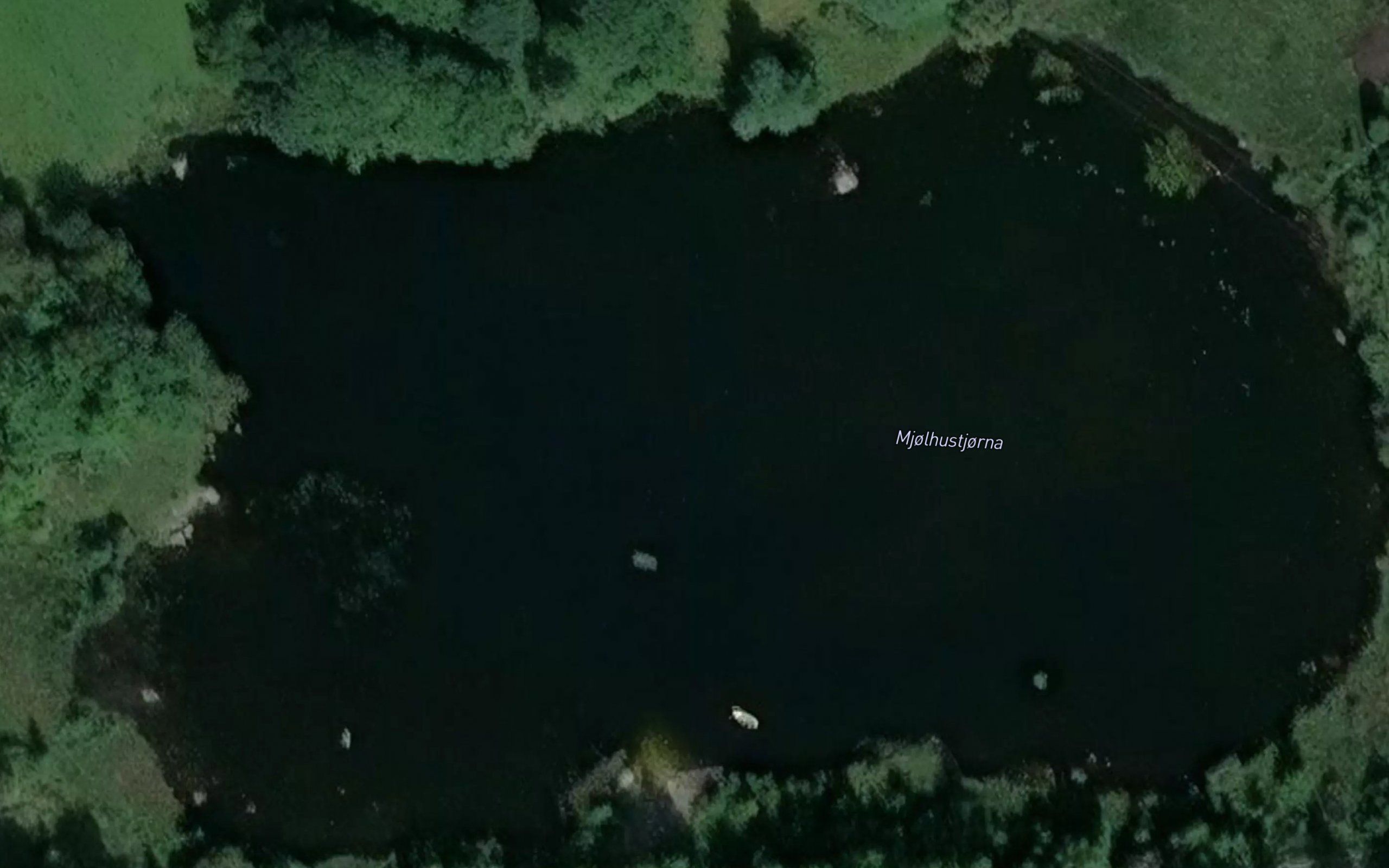 Mjolhustjorna