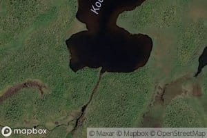 Uudenjankanjoki