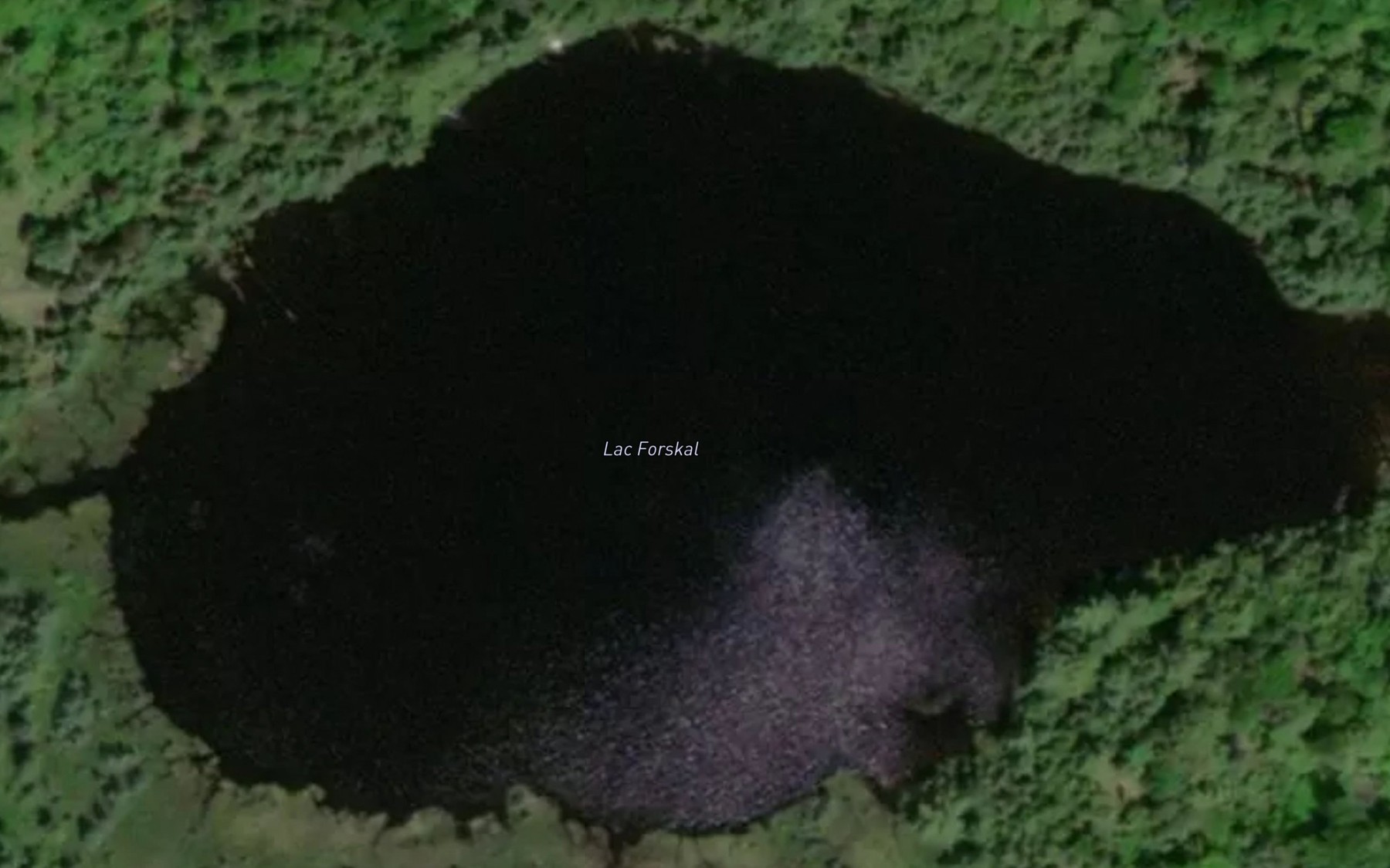 Satellite map of the Lac Forskal