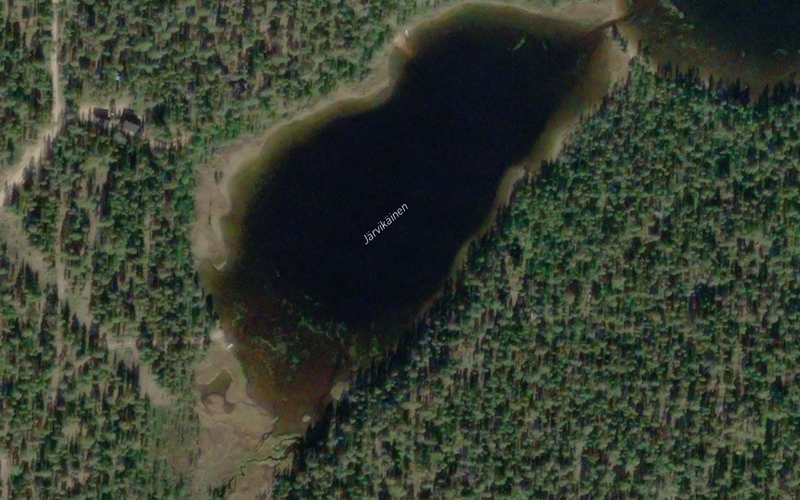 Jarvikainen