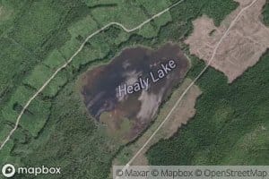 Healy Lake