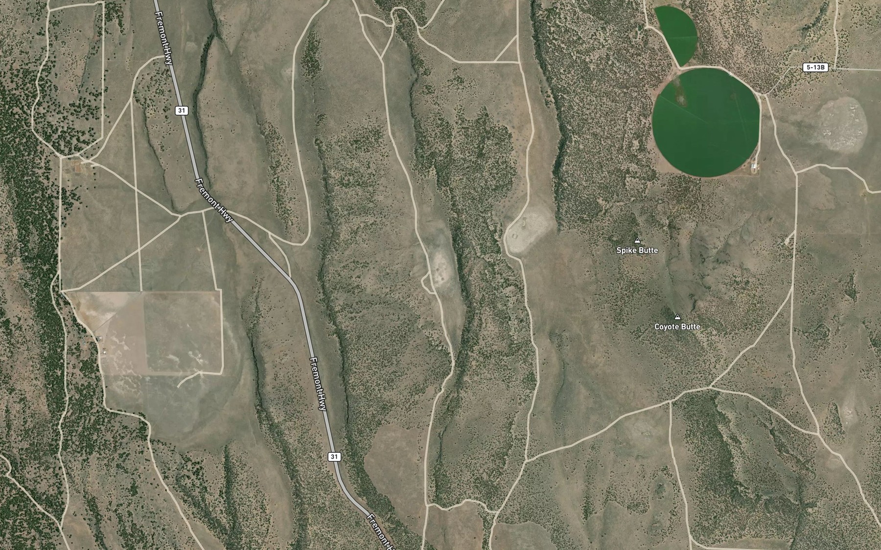Satellite map of the Lasater Reservoir