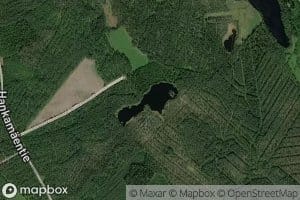 Saarislampi