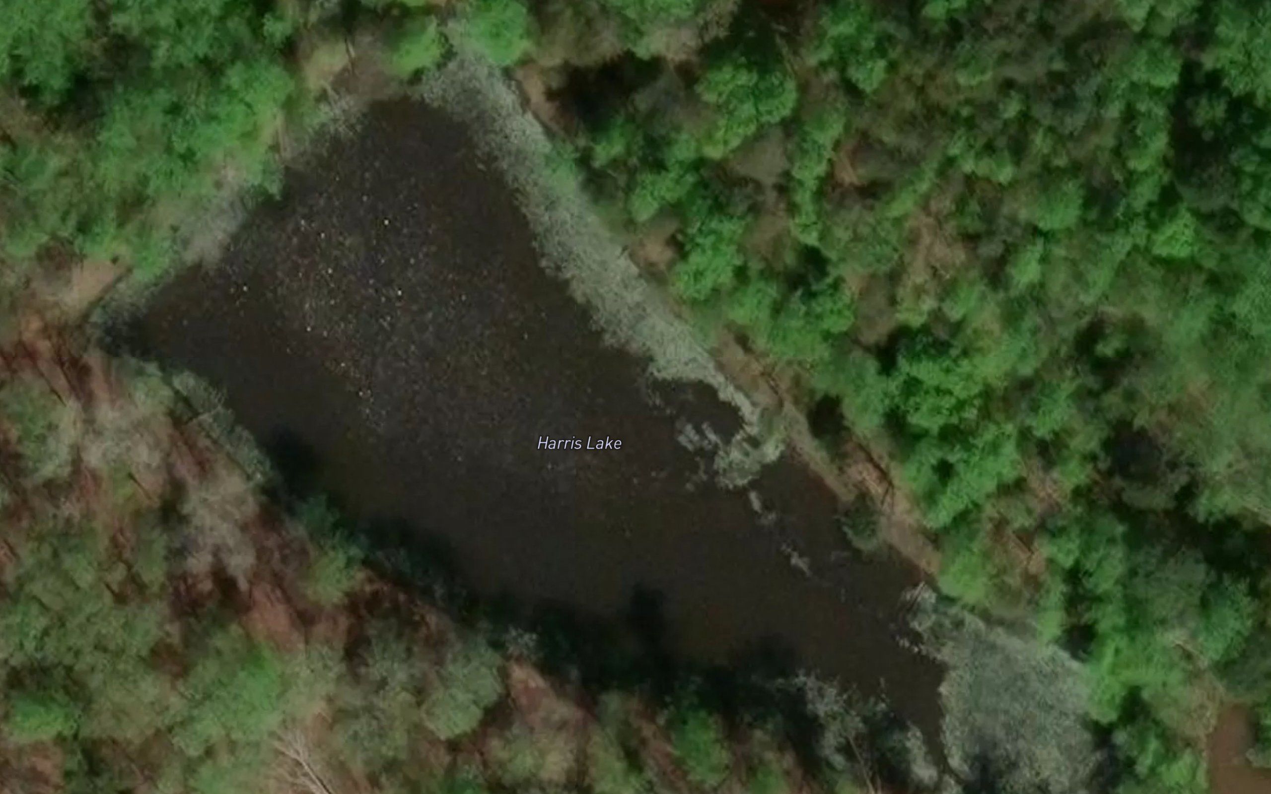 Harris Lake