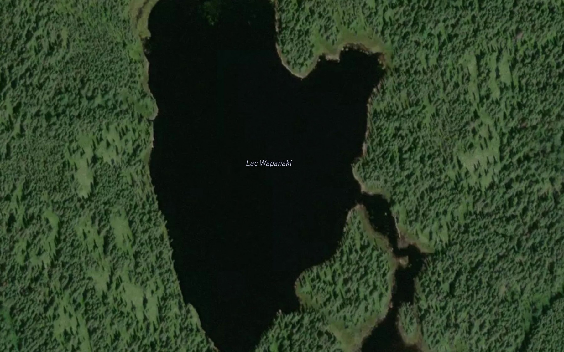 Satellite map of the Lac Wapanaki