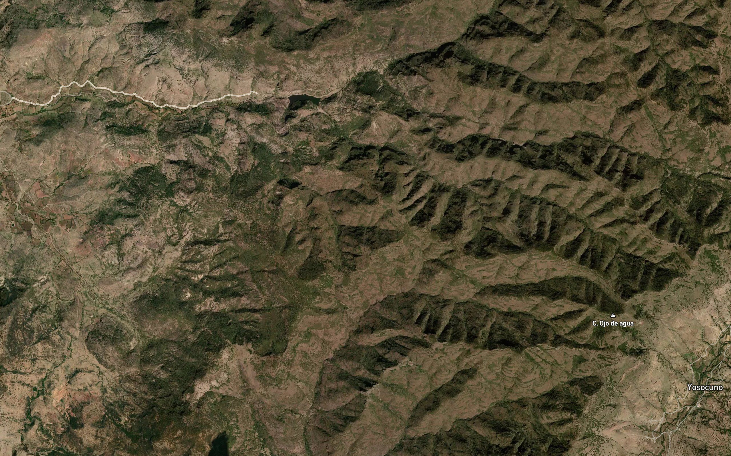 El Cedro