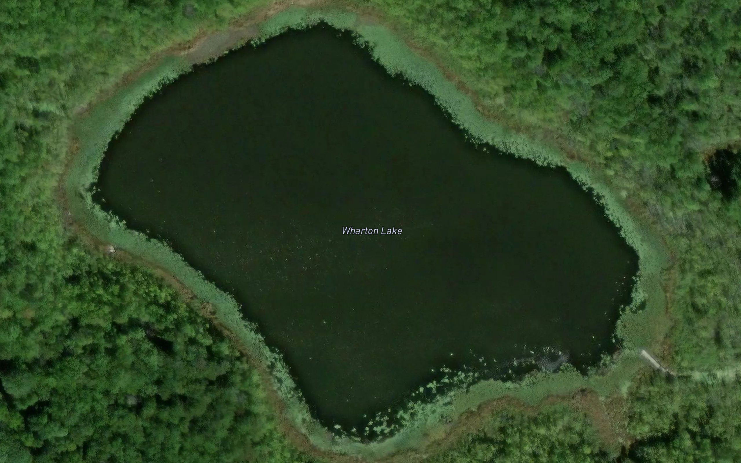 Wharton Lake