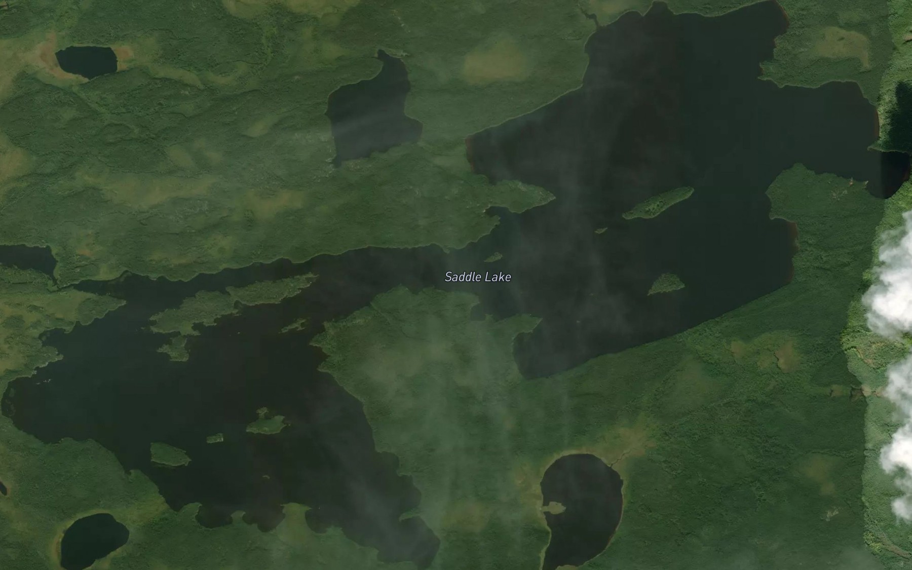 Satellite map of the Saddle Creek
