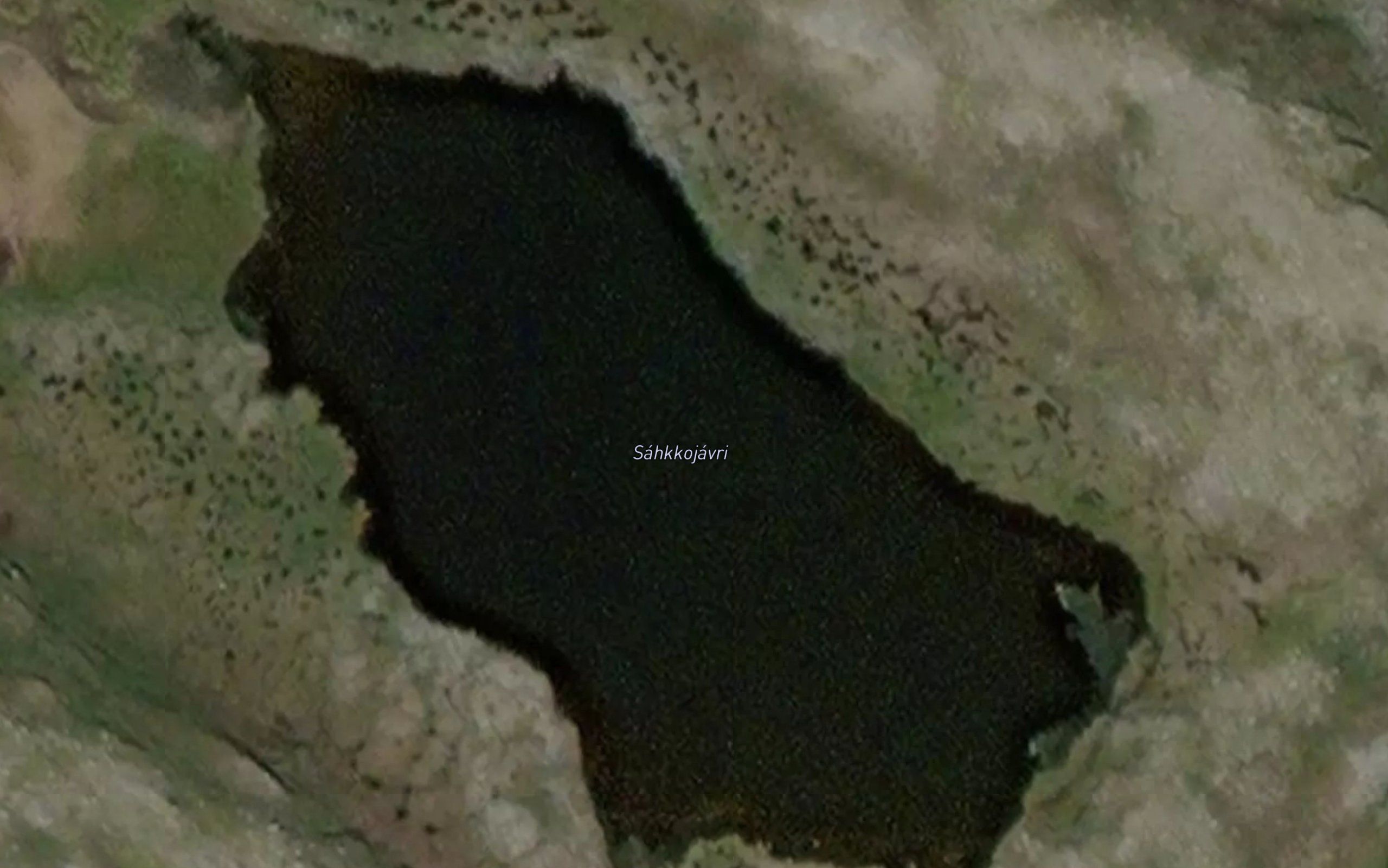 Sahkkojavri